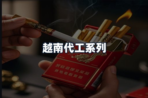 越南代工系列